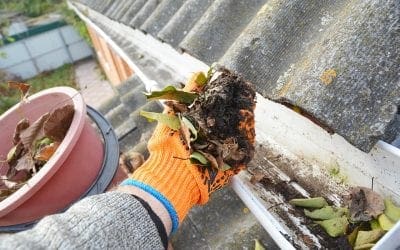 4 Effective Ways to Clean Your Gutters