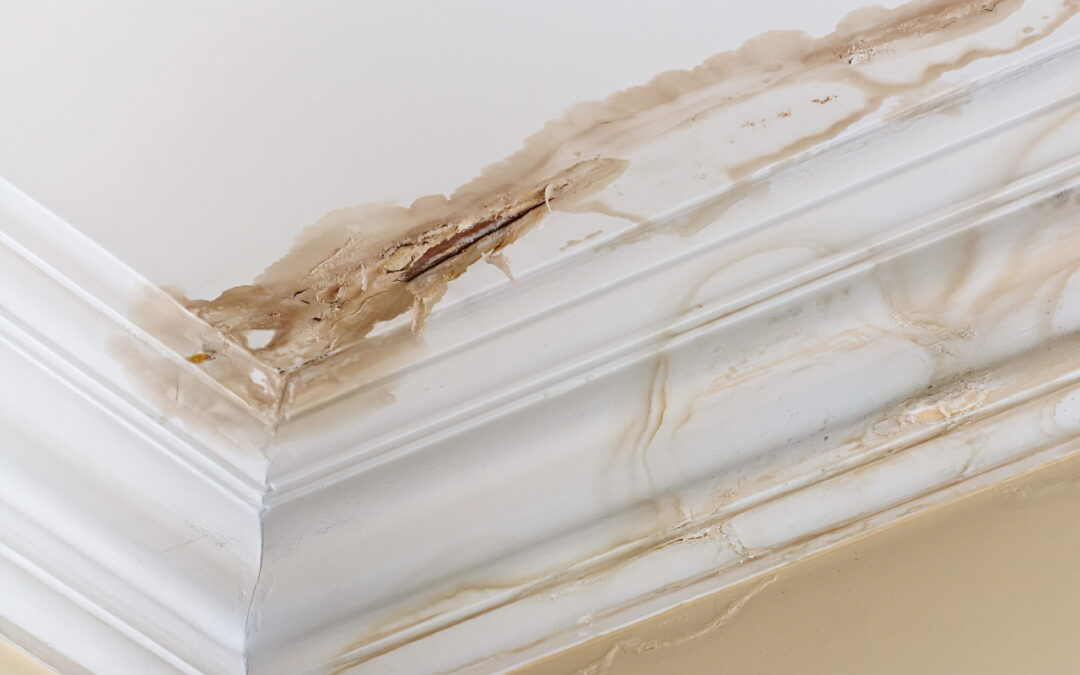 Don’t Let It Creep In: A Homeowner’s Guide to Moisture Problems in the Home